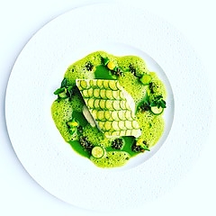 Photo--Brava-Halibut-Zucchini-Pistachio